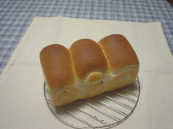 050903pan.jpg