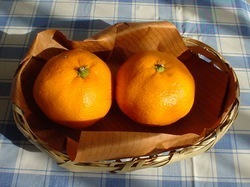 20031218_1.jpg