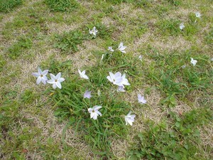 20040331_1.jpg