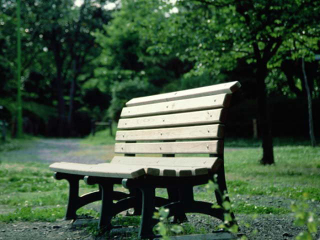 photo1.jpg